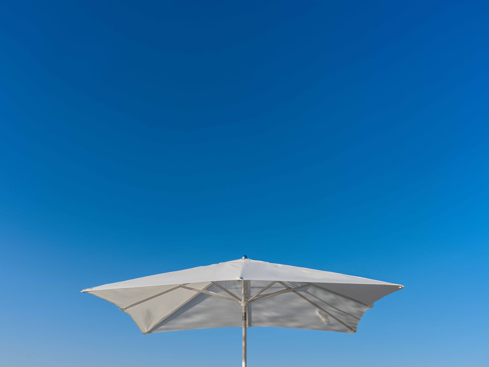 Ledge Loungers